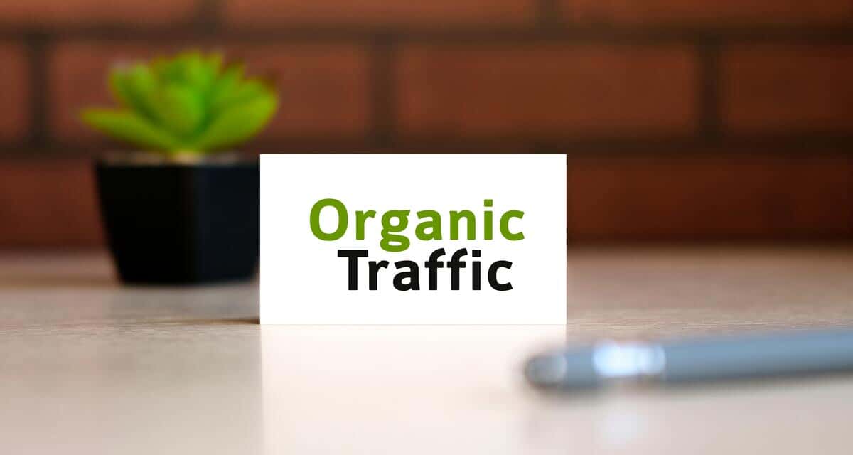organik-trafik-nedir